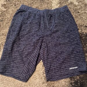 Patagonia Men's Navy Striped Athletic Shorts